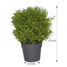 Load image into Gallery viewer, 209 Decoratives -Potted Plastic Artificial Plants