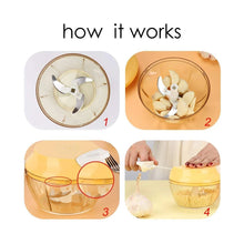 Load image into Gallery viewer, 101 Compact & Powerful Hand Held Vegetable Chopper (650 ml)