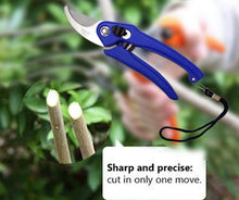 Load image into Gallery viewer, 465 Stainless Steel Garden Scissors
